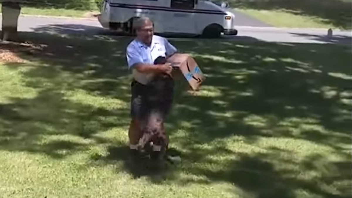 Kaže se da psi ne vole poštare, no ovaj je lud za svojim