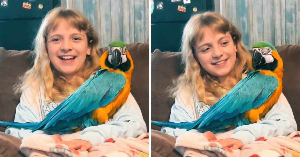 Djevojčica trči kako bi njezina papiga mogla "letjeti" 🥹