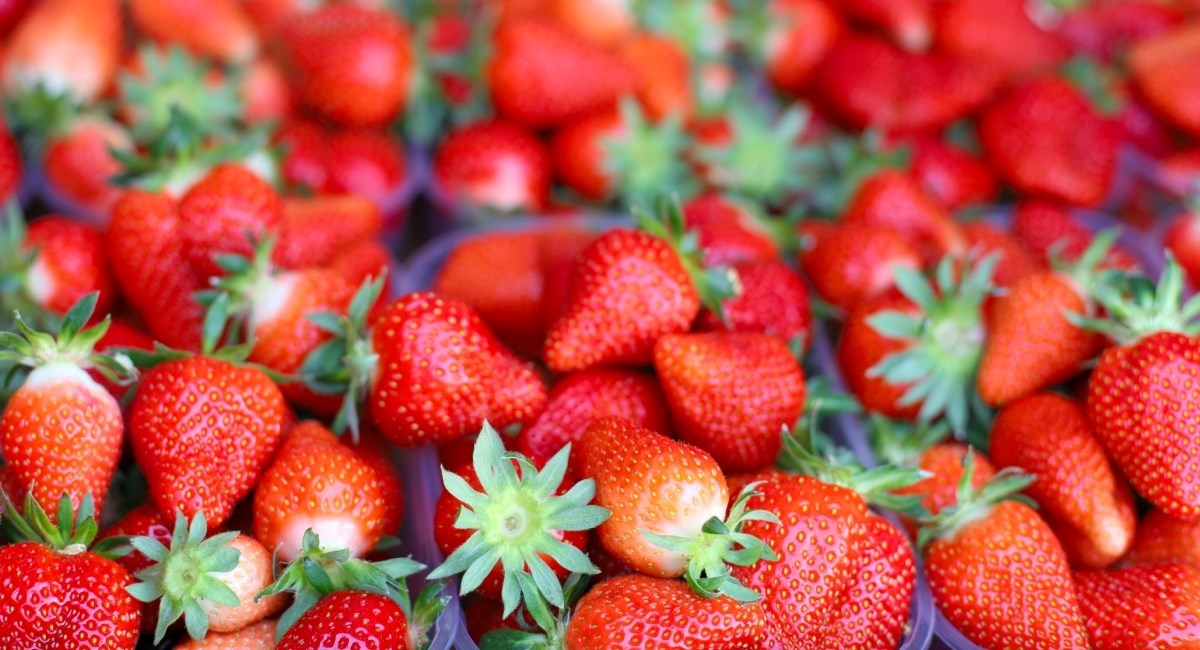 Kad kupujete jagode, obratite pozornost na nekoliko stvari