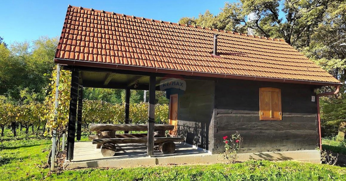 Top oglasi za nekretnine: Drvena kuća za odmor u srcu prirode za 32.000 €