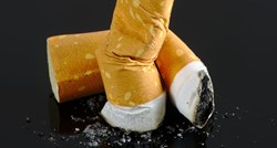 Duhanski div navodno razmišlja o gašenju Tvornice duhana Rovinj