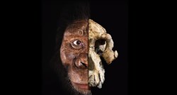 Veliko otkriće: Pronađena lubanja otkriva kako je izgledao drevni ljudski predak