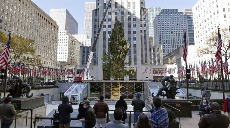 Malena sova putovala je tri dana do New Yorka skrivena u božićnom drvcu