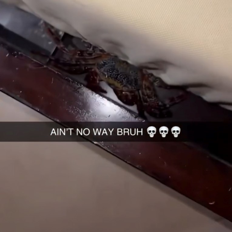 U hotelskoj sobi čuo čudan zvuk pa pogledao ispod kreveta: "Krv mi se sledila "