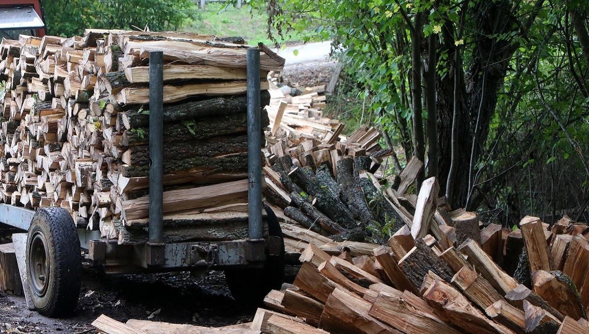Muškarac kod Pakraca poginuo tijekom radova u šumi
