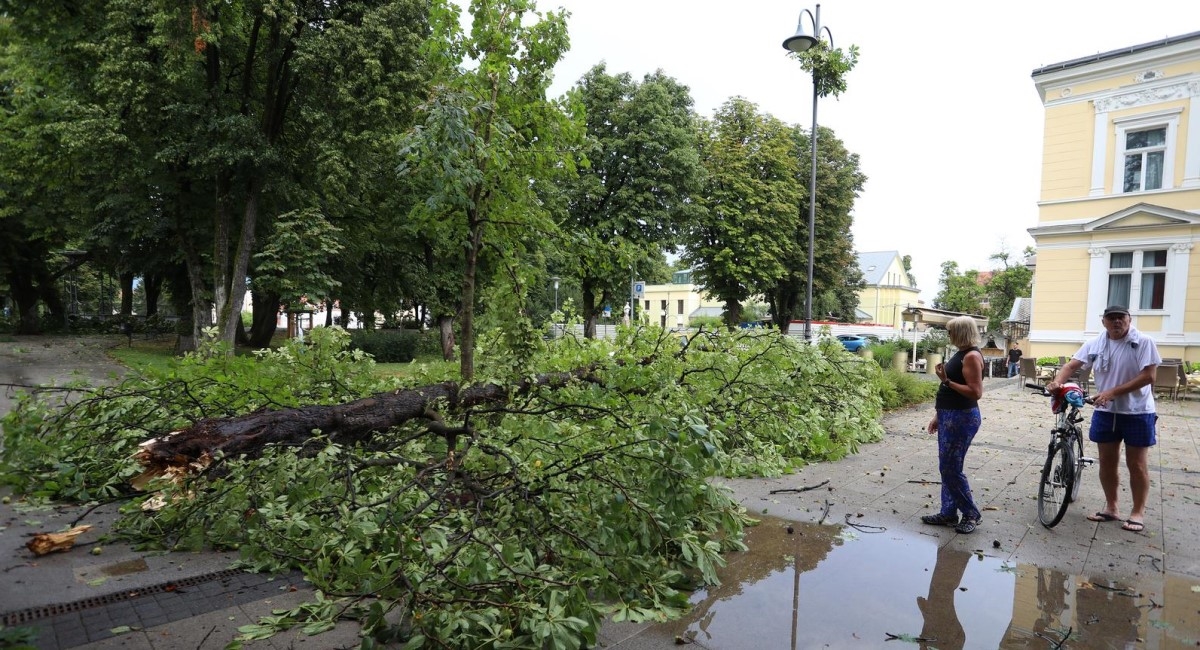 Nevrijeme u srijedu u Karlovcu srušilo 22 stabla, slomljeno 47 velikih grana