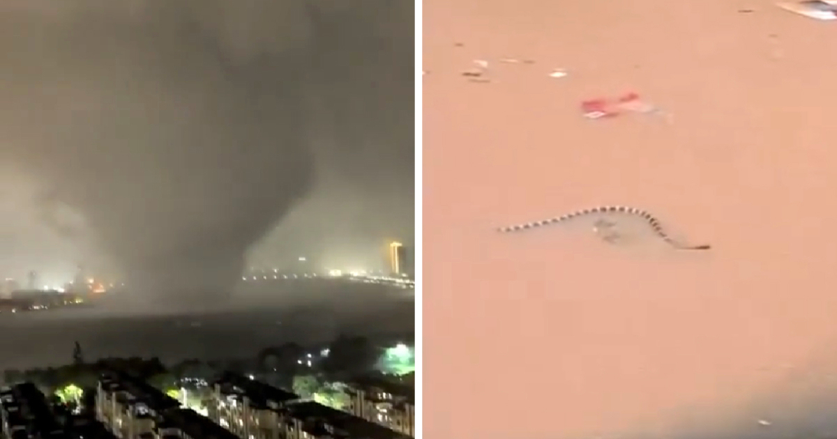 VIDEO Tornado u Kini iščupao muškarca s 12. kata. Poplave oslobodile 800 zmija s farme