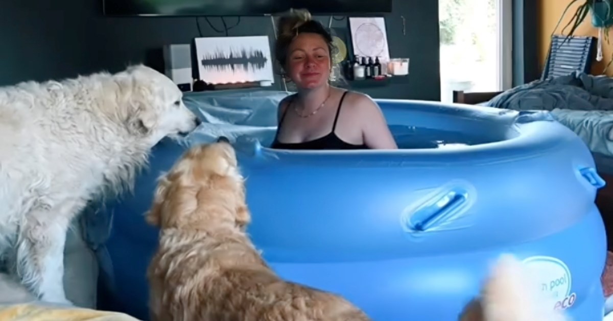 Žena rodila kod kuće, reakcija njenih pasa je dirljiva