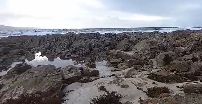 Pomor glavatih želvi kod Dugog otoka