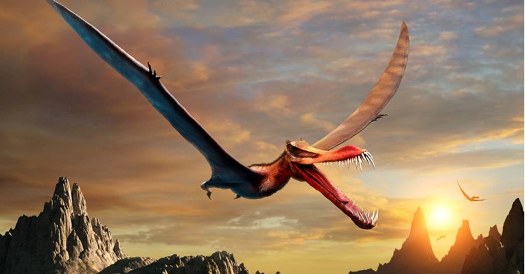 Otkriven fosil golemog dinosaura koji je lovio plijen iz zraka: "Zmaj smrti"