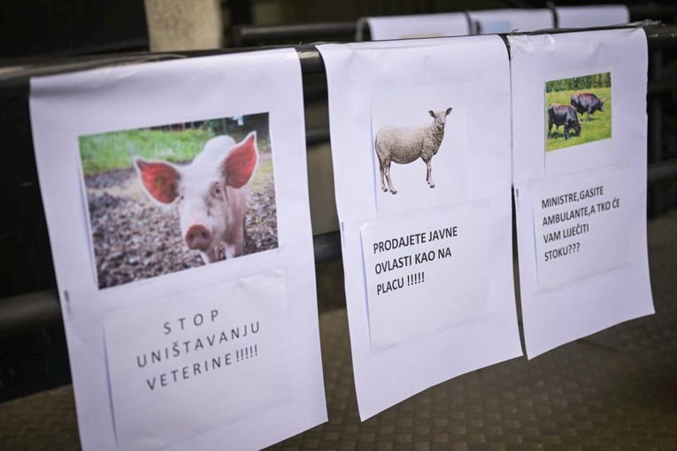 Udruga: Čovjek koji drži 30.000 svinja uzimat će uzorke za bolesti. Sukob interesa
