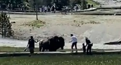 VIDEO Obitelj u parku Yellowstone napao bizon, muškarac završio u bolnici