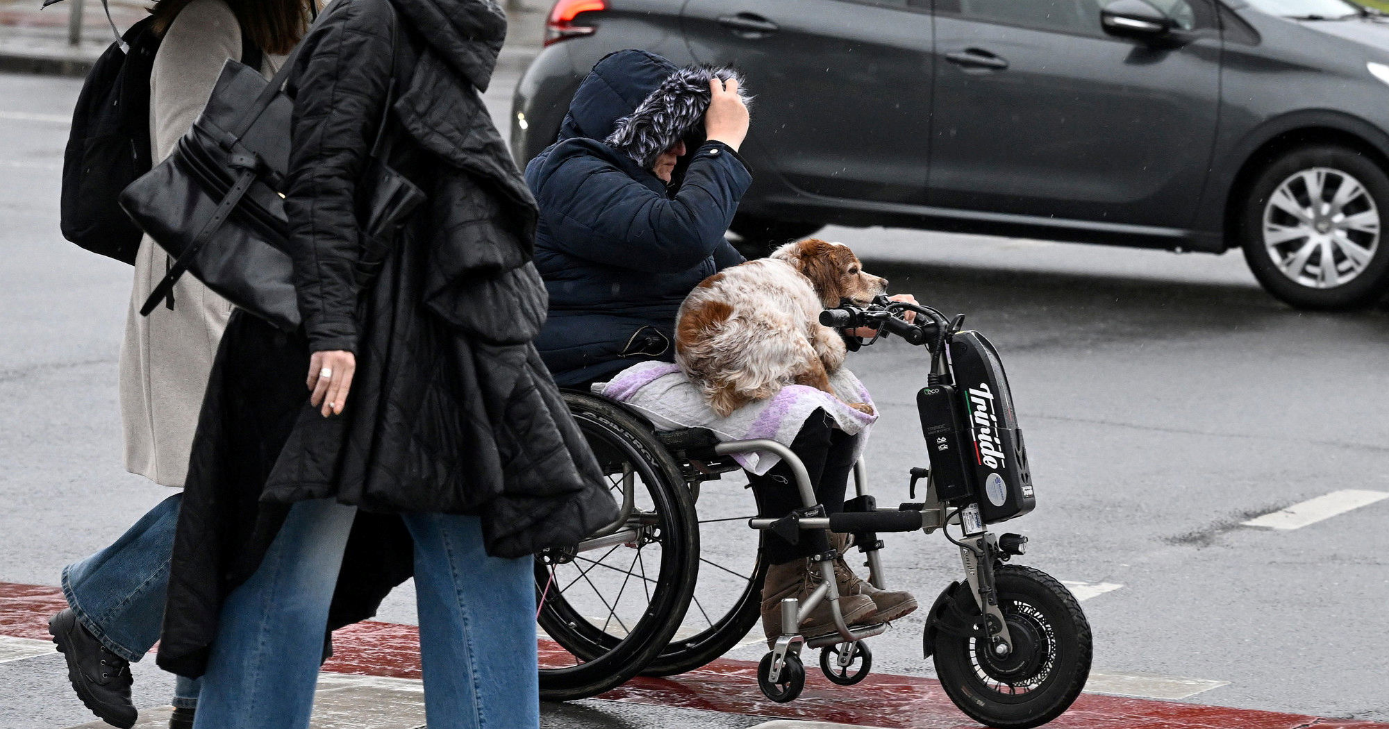 Dirljiv prizor iz Zagreba: Vlasnica u invalidskim kolicima povezla svog psa