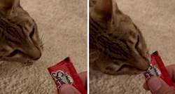 Snimka mačke koja ispušta neobične zvukove dok jede nasmijala ljude na internetu