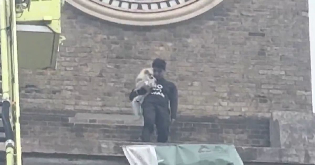 VIDEO Prosvjednik se popeo na toranj sa psom u Londonu. Spasili su ga vatrogasci
