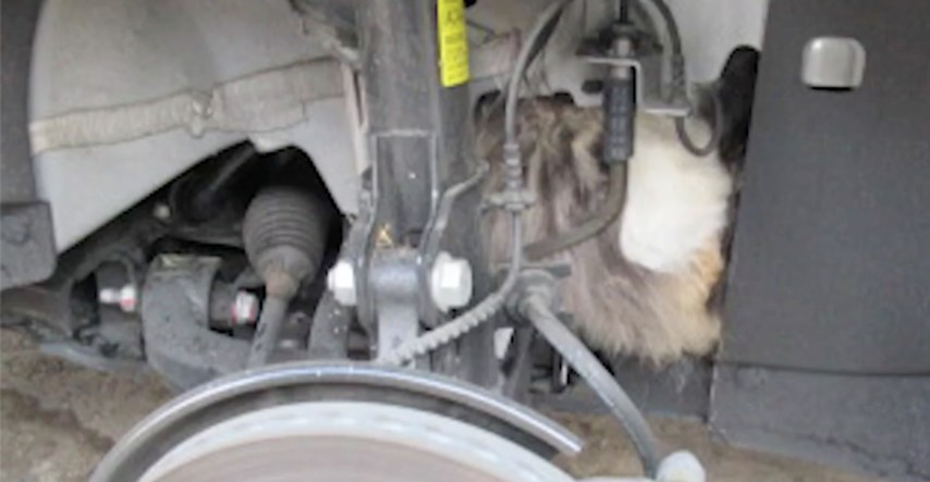 Mačka zaglavila u haubi automobila, spašavanje je trajalo tri sata