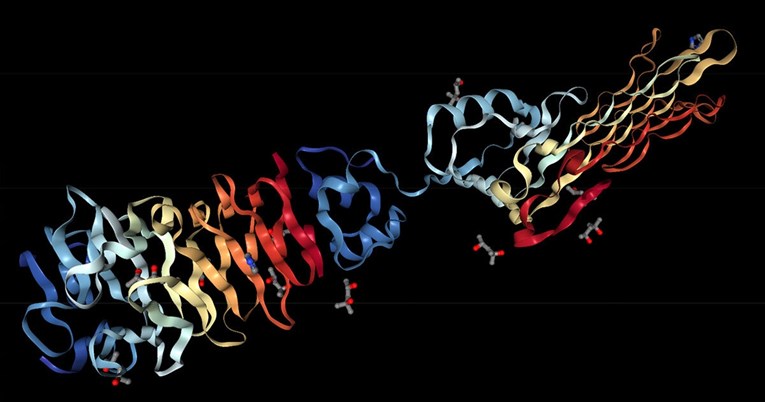 Golemo otkriće umjetne inteligencije otvara novu eru u biologiji i medicini