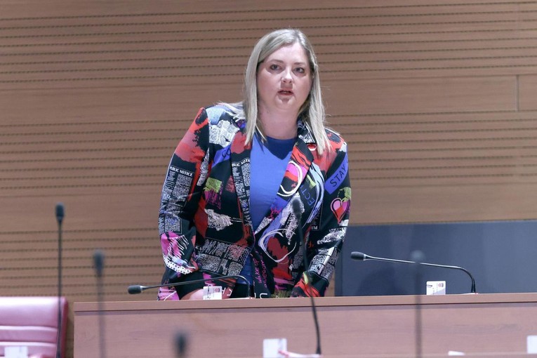 Šimpraga Bulju: Što je Srba manje, to veće neprijatelje od njih prave. Baš junački
