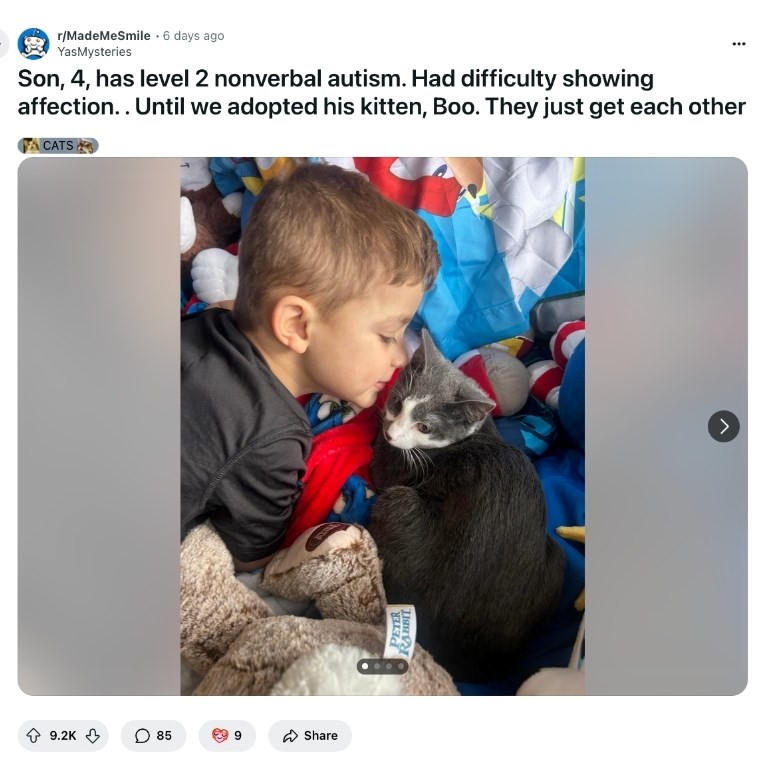 Dječak s autizmom nije znao pokazati ljubav, a onda je njegova obitelj udomila mačku - Index.hr