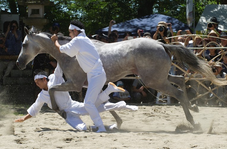 Dva konja uginula, a više od 100 ih dobilo sunčanicu na okupljanju samuraja u Japanu