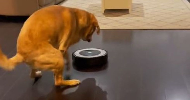 Pas imao urnebesnu reakciju kad je vidio robotski usisavač, snimka je hit