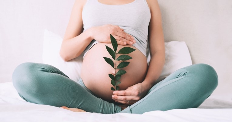 Ovo je 5 najvažnijih promjena koje žensko tijelo doživi u trudnoći
