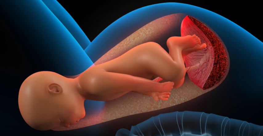 Fascinantni video prikazuje kako izgleda vaginalni porođaj u samo jednoj minuti