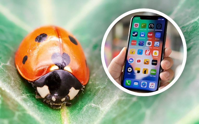 Njemačka studija: Zračenje mobitela vjerojatno ozbiljno šteti insektima