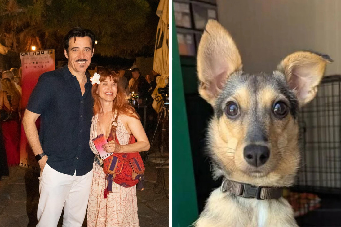 Goran i Eva Višnjić udomit će kujicu Lou koju je glumčeva kći vratila u azil