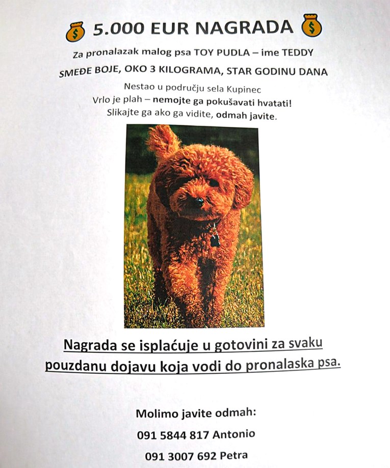 Pas Antonija Rimca nestao iz hotela za pse: "Traže ga i dronovi"