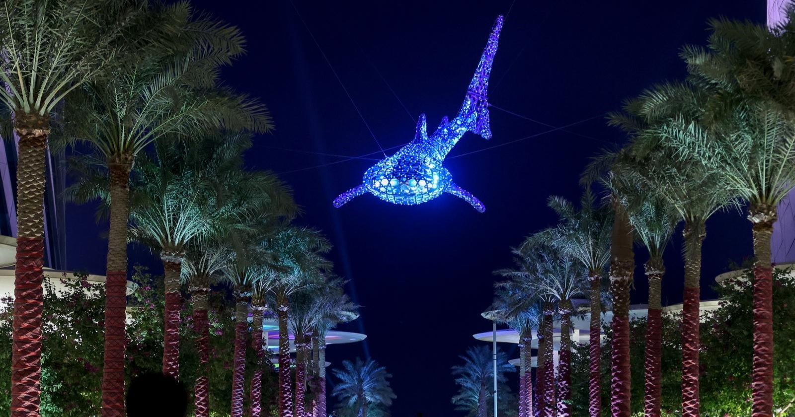 Nevjerojatna instalacija morskog psa u katarskom gradu krade poglede navijača