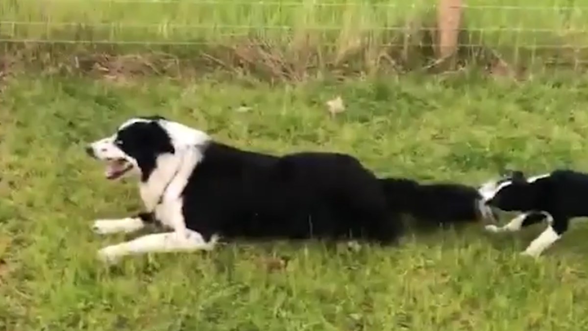 Kada imate ovakvog kolegu na poslu, sve je duplo teže