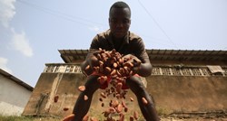 Gana značajno podigla otkupnu cijenu kakaovca