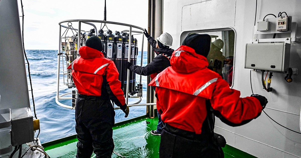 Algama koje stvaraju kisik koji dišemo prijeti kolaps