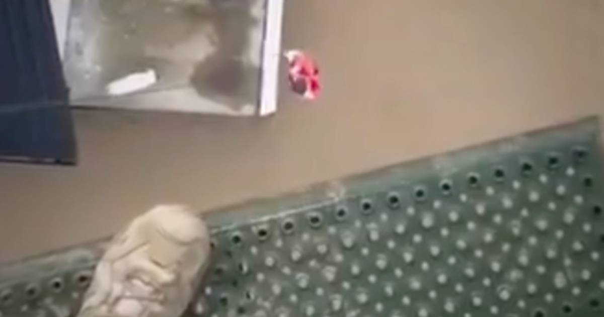 VIDEO Vojnim helikopterima evakuiraju ljude od poplava u Poljskoj, pogledajte