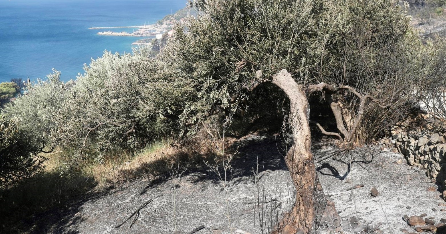 Lokaliziran požar kod Trogira