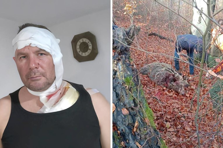 Medvjedica napala lovca u BiH: "U letu, dok je išla na mene, ispalio sam metak"