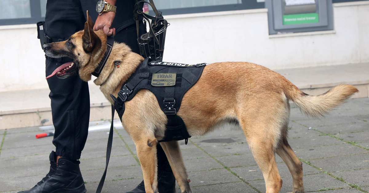 Pas u Drnišu napao i ozlijedio službenog policijskog psa. Uhićen vlasnik