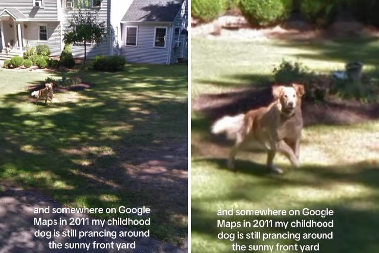 Tražila je staru kuću na Google Mapsu, a onda ugledala prizor koji ju je rasplakao