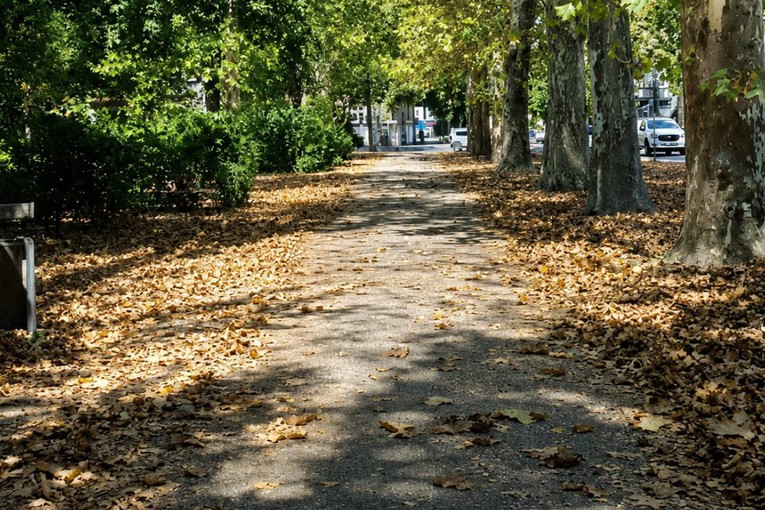 VIDEO Lišće u Zagrebu pada kao da je jesen