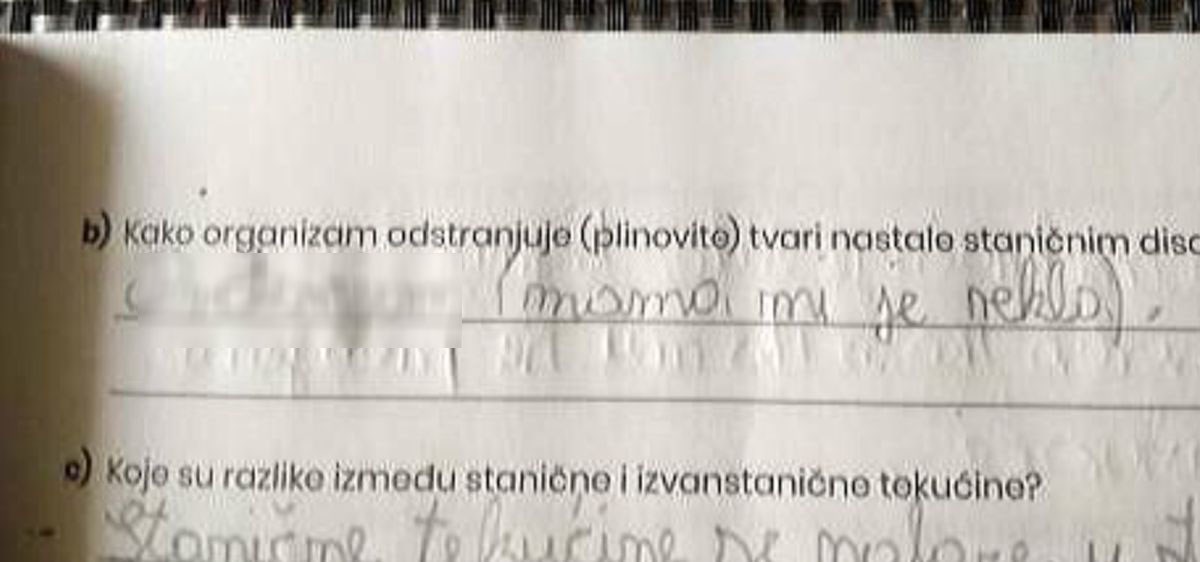 "Dica su zakon": Iskren dječji odgovor u zadaći iz biologije postao hit na Fejsu