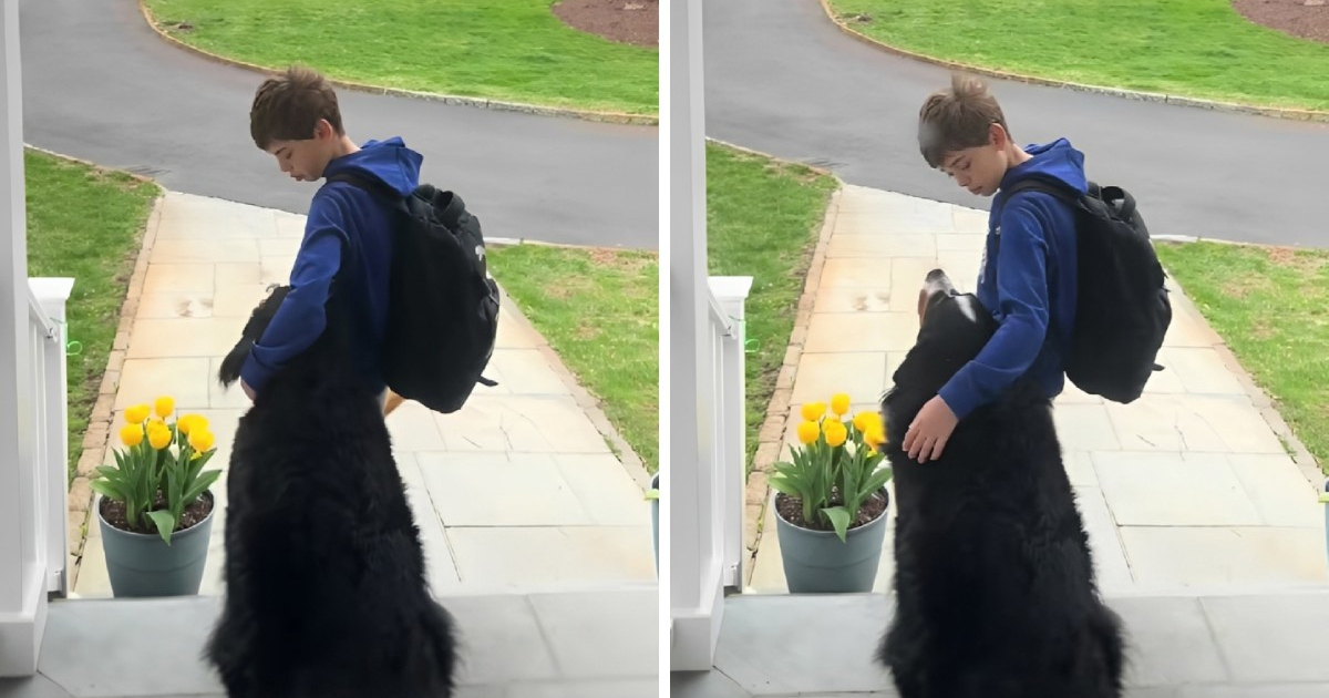 Pogledajte dirljiv oproštaj dječaka i njegovog psa prije škole 🥹