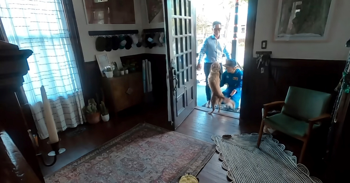 Dirljiva snimka susreta astronautkinje i psa nakon misije Artemis II postala hit