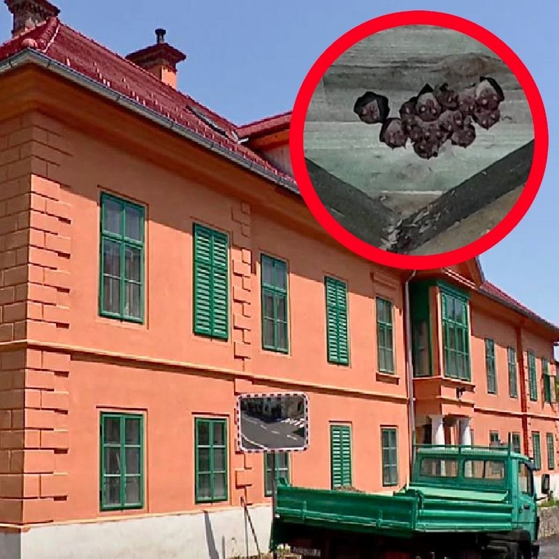 Zbog šišmiša zaustavljena obnova zaštićene vile u Samoboru
