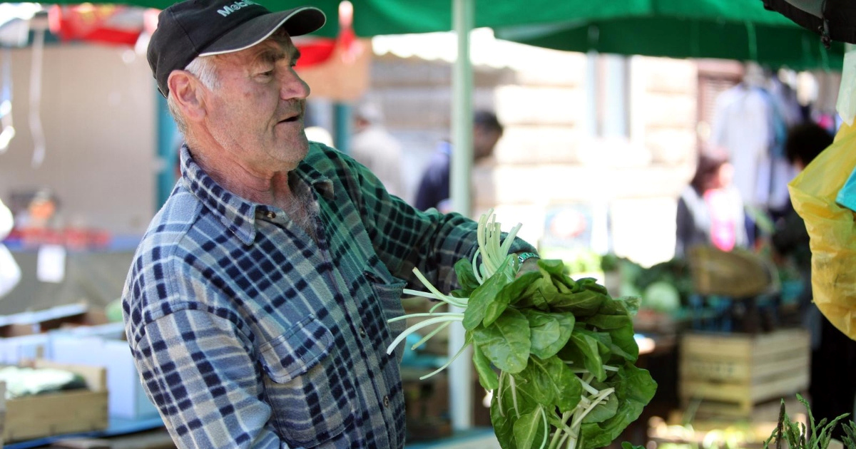 Slovenci je obožavaju: Evo zašto je ova biljka hit svakog proljeća