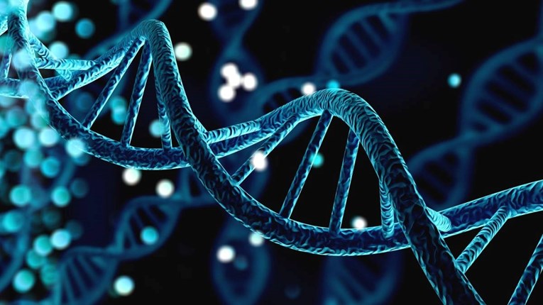 Događaji iz života baka i djedova mogu utjecati na vaše gene, tvrde znanstvenici