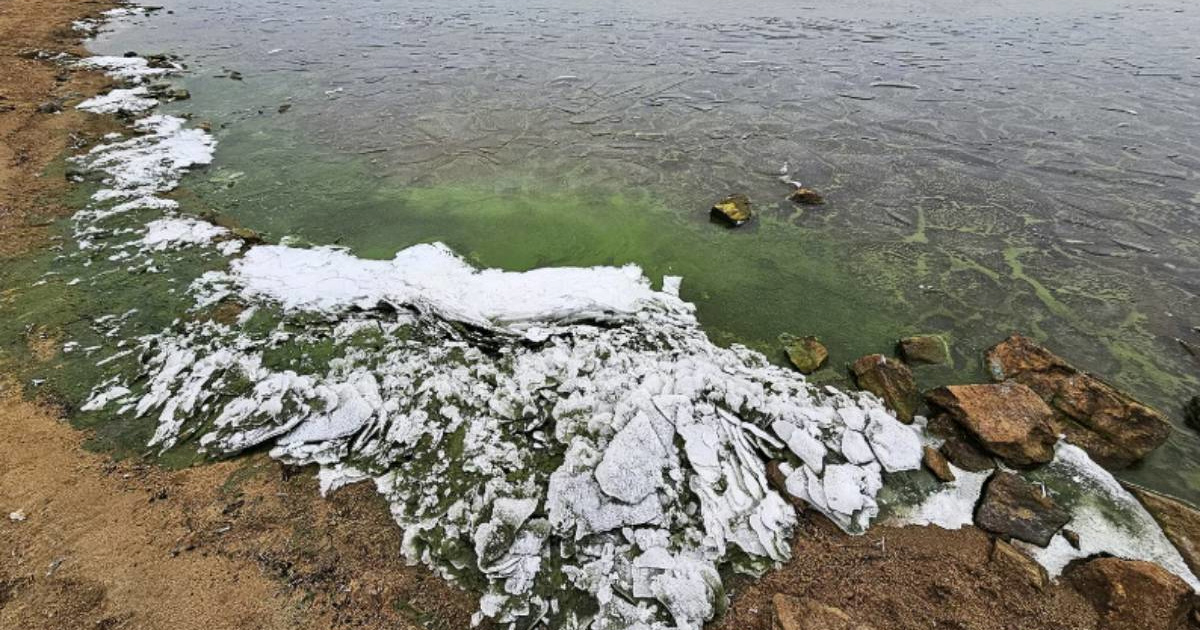 Jezero u Češkoj prekrio neobičan zeleni led. Pogledajte fotografije
