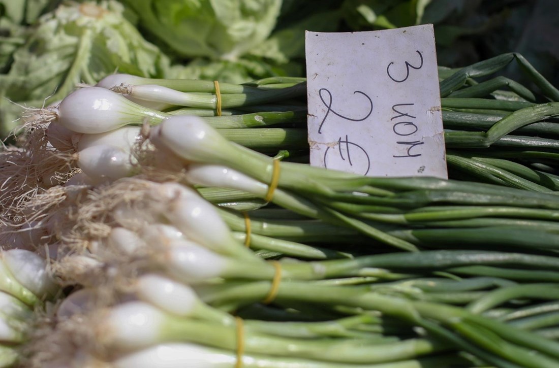 Većina ljudi ovo ne gleda, a otkriva je li luk tretiran kemikalijama