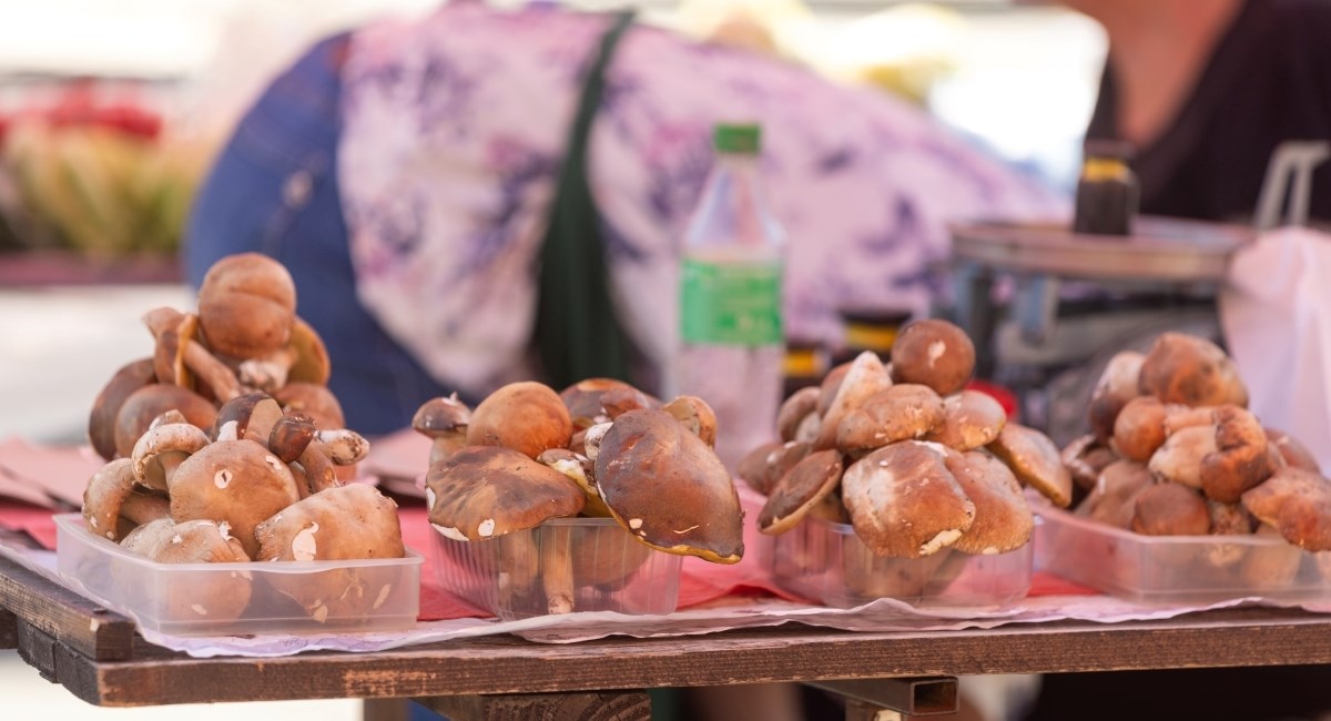 Na zagrebačke tržnice stigli prvi ovogodišnji vrganji, pogledajte cijene