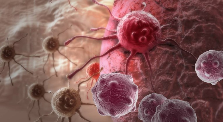 Ove stanice raka se bude dok ljudi spavaju